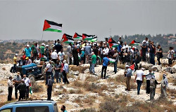 Manifestation palestinienne en Cisjordanie (Salfit)